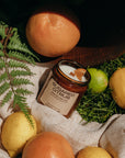 Citrus fruits and a jar of 'Sugared Citrus' on a textured surface with greenery.