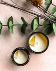 Overhead picture of both sizes of Sugared Citrus candles displaying orange pieces embedded in top.
