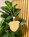 Wooden Car Air Fresheners