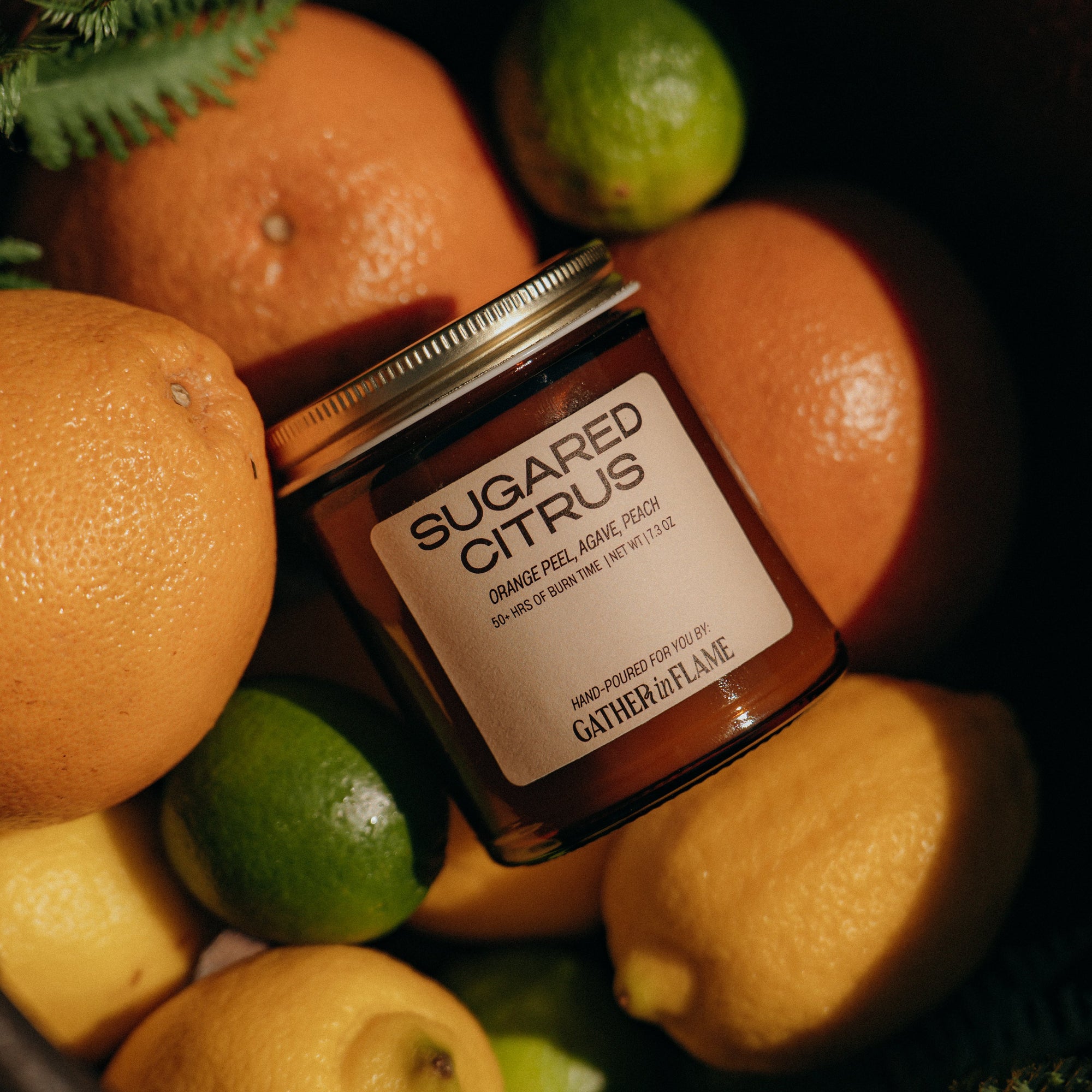Jar of 'Sugared Citrus' with citrus fruits on a dark background