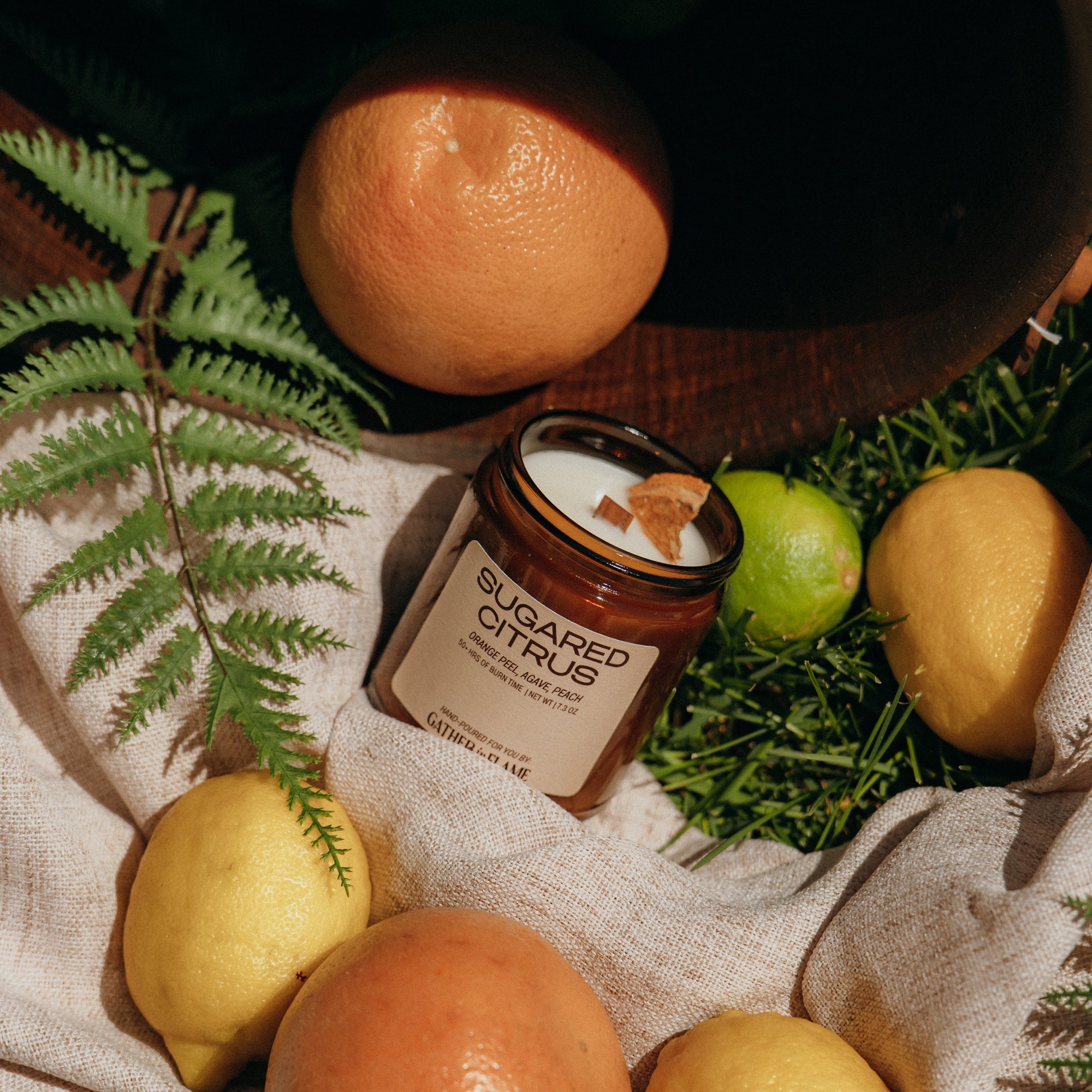 Citrus fruits and a jar of 'Sugared Citrus' on a textured surface with greenery.