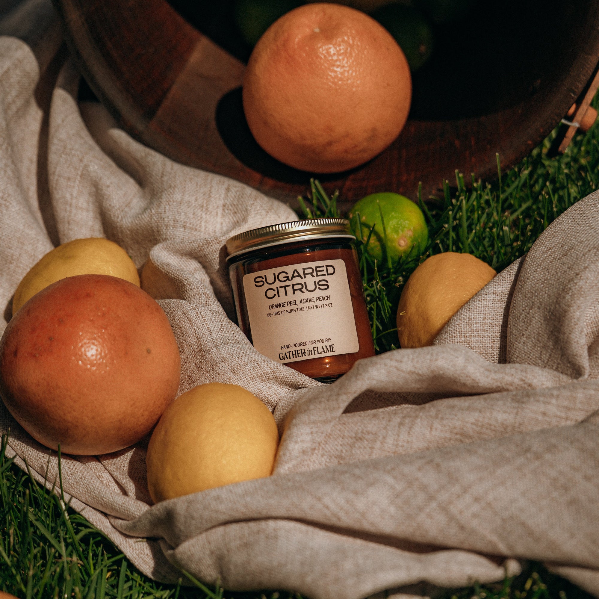 Jar of 'Sugared Citrus' on a grassy surface with citrus fruits around
