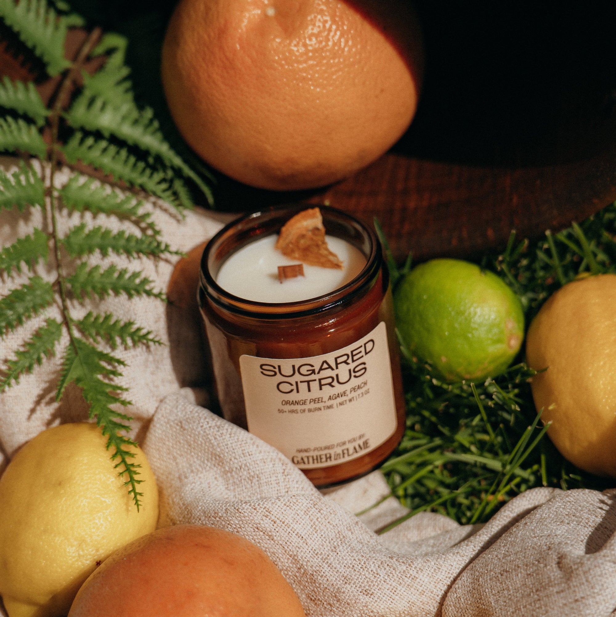 Sugared Citrus candle surrounded by fruits and leaves on a textured surface