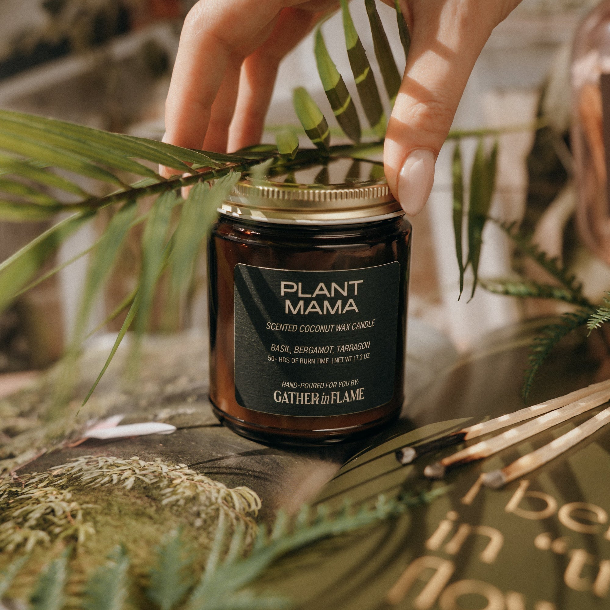 Hand holding a jar labeled 'Plant Mama' with greenery in the background