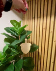 Wooden Car Air Fresheners